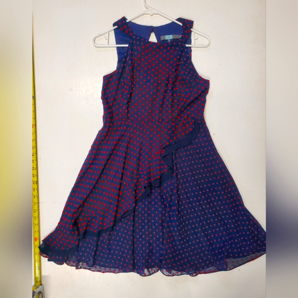 Anthropolgie Eva Franco flowy embroidered polka dot dress